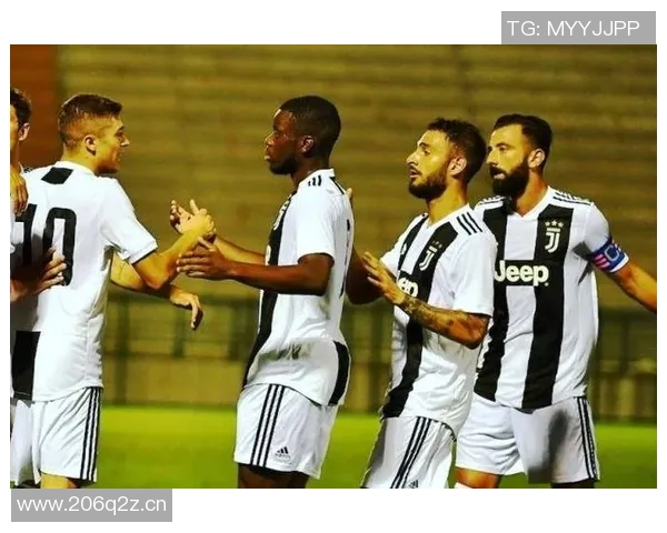 意甲球队组成结构及俱乐部管理模式全解析